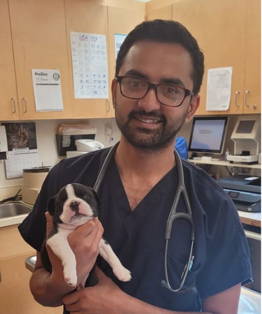 Grande Prairie Veterinarian